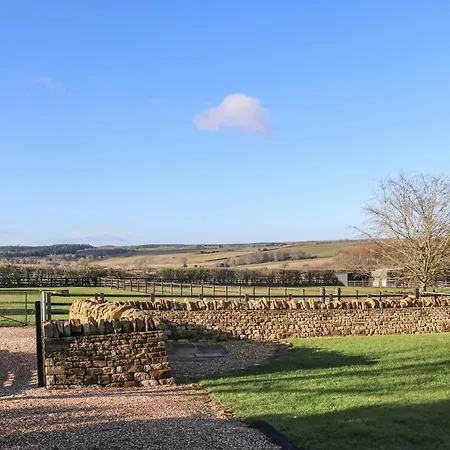 Westfield * יורק