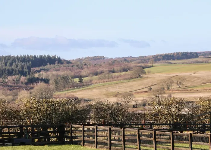 Westfield * Йорк